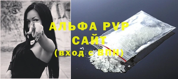 мдпв Инсар