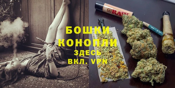 молекула духа Зеленокумск