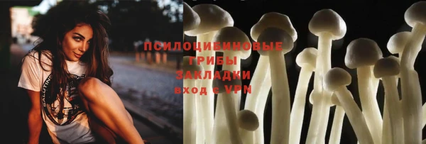 не бодяженный Зерноград
