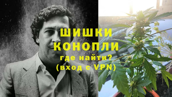 молекула духа Зеленокумск