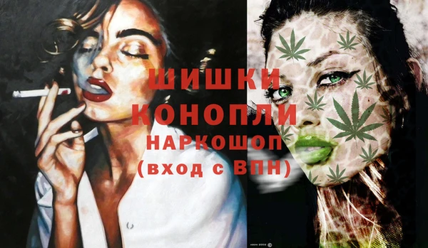 молекула духа Зеленокумск