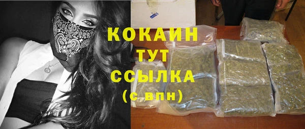 гидропоника Инта
