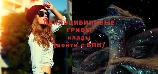 мдпв Инсар