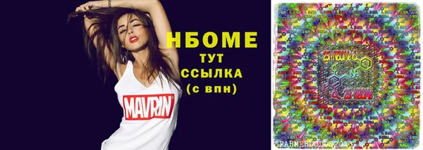 мдпв Инсар