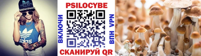 купить Ирбит Псилоцибиновые грибы Magic Shrooms